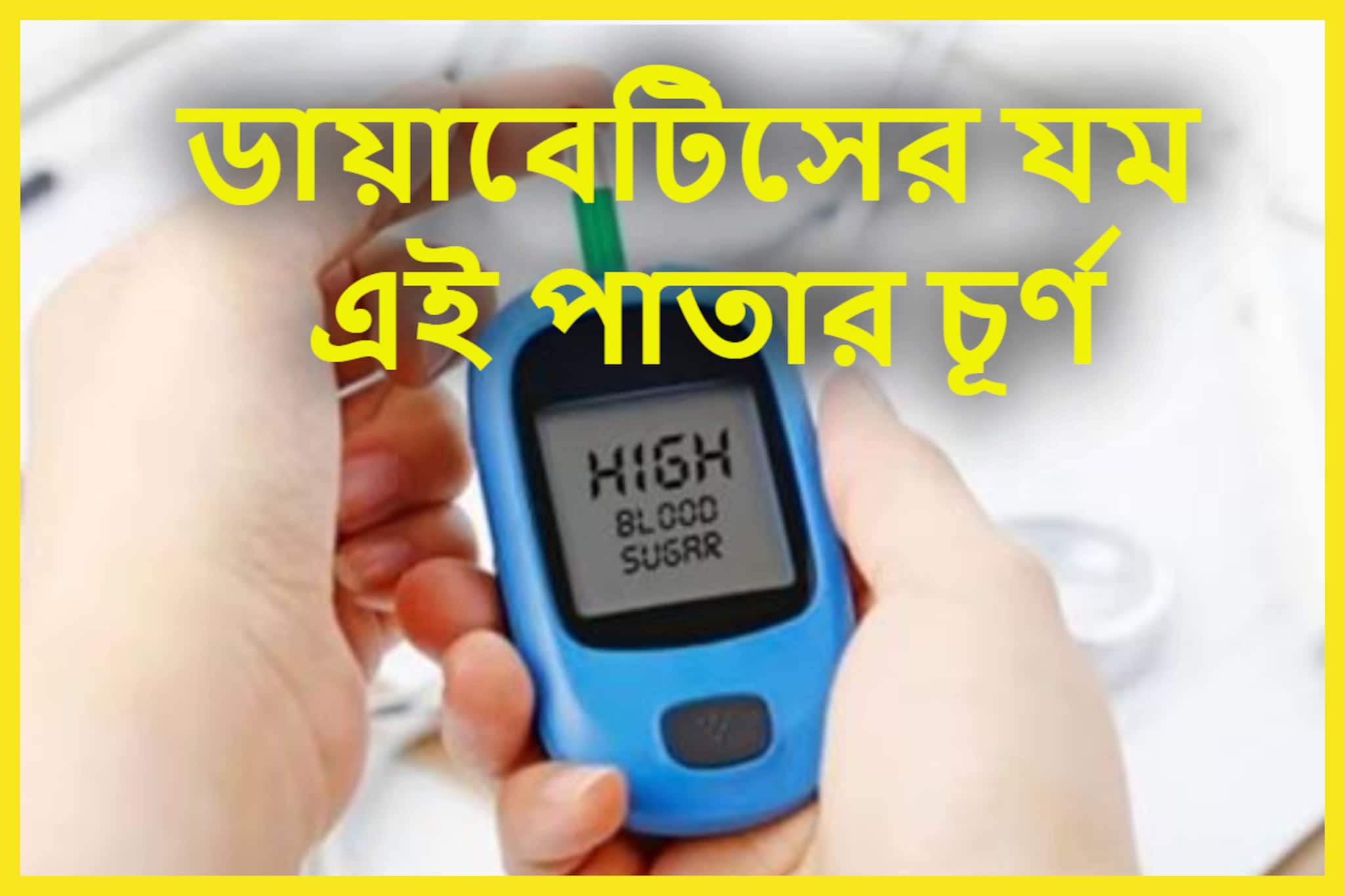 High Blood Sugar Control Tips: ব্লাডসুগারে শরীর শেষ! এই পাতার চূর্ণ রামবাণ, ডায়াবেটিসের যম হয়ে দূর করবে শর্করা