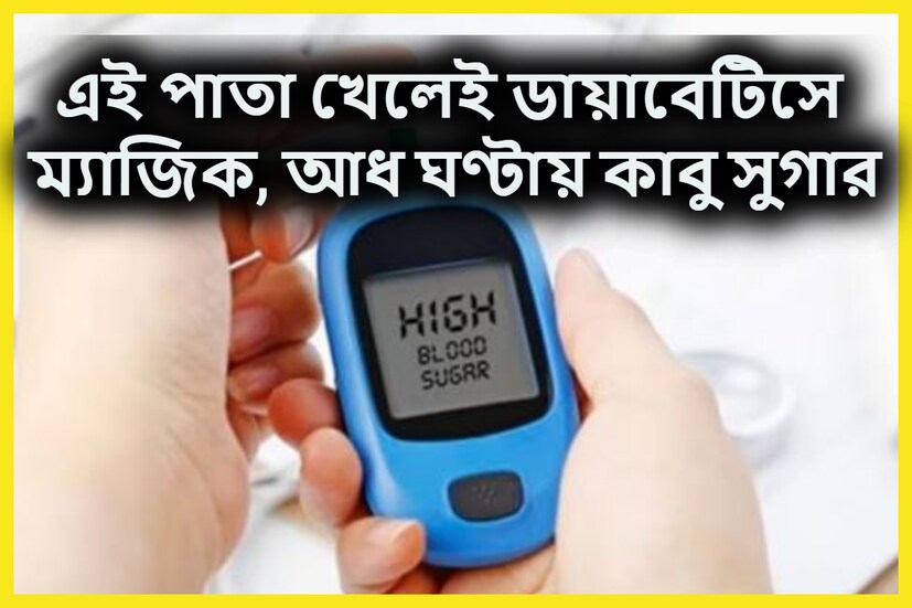 ডায়াবেটিস হল অত্যন্ত এমন এক রোগ যা একবার শরীরে প্রবেশ হলে কোনও দিনও শেষ হয়না ৷ কারও শরীরে সুগার ধরা পড়লে জীবনভর সেই সমস্যাকে বয়ে বেড়াতে হয় ৷ প্রতীকী ছবি ৷