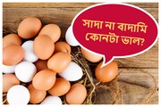 কেন ডিমের খোলা হয় বাদামি? সাদা না বাদামি কোনটা খাবেন আপনি, কিসে বেশি পুষ্টিগুণ..