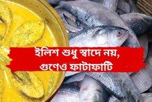 ইলিশ কি স্বাস্থ্যের জন্য ভাল? জানলে অবাক হবেন ইলিশ শুধু স্বাদে নয় গুণেও ফাটাফাটি
