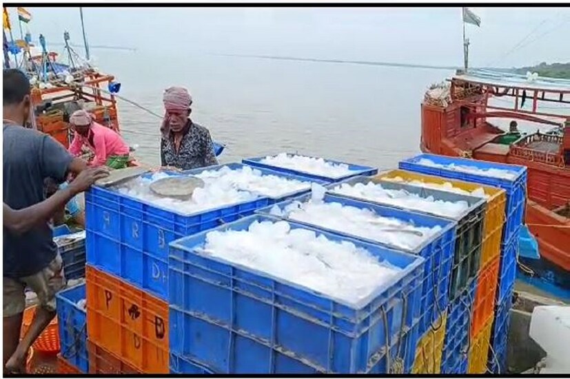ভেটকি মাছের প্রতি কেজিতে দাম রয়েছে ৫০০ টাকা। পাবদা মাছের প্রতি কেজির দাম শুরু হচ্ছে ৩৫০- ৪০০ টাকা থেকে। এমনকি ভোলা মাছের প্রতি কেজির দাম রয়েছে ৩৫০ টাকা। পাশাপাশি পমফ্রেট মাছের প্রতি কেজির দাম রয়েছে ৪০০ টাকার উপরে।
