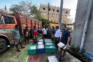 বাজেয়াপ্ত করা হয়েছে খোকা ইলিশ 