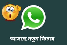WhatsApp-এ এবার স্টিকার সাজেশন, কীভাবে মজার বড় স্টিকার পাঠাবেন জেনে নিন এক ঝলকে!