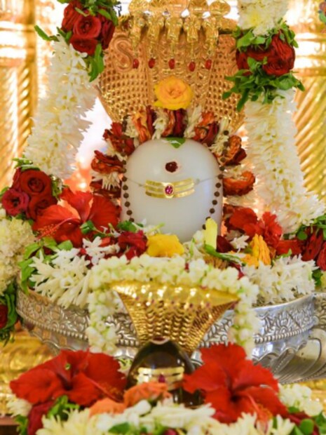 একাধিক ফুল রয়েছে যেগুলি দিয়ে শিব পুজো করলে মহাদেব সন্তুষ্ট হন ও তাঁর আশীর্বাদ পাওয়া যায়। শিব পুজোই অবশ্যই রাখুন বিল্বপত্রের পাশাপাশি অবশ্যই রাখুন বেল ফুল ও বেল। এছাড়া শমী, তিসি, জুই, ধুতুরা ও কাঠকরবী ফুল দিয়ে পুজো করুন।