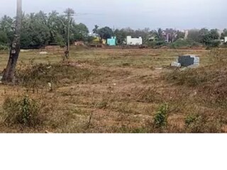 জমি কিংবা সম্পত্তি ফাঁকা পড়ে থাকায় জবরদখলের আশঙ্কা? এই সহজ পদ্ধতিতেই করুন সমস্যার মোকাবিলা