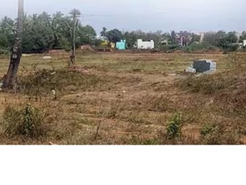 জমি কিংবা সম্পত্তি ফাঁকা পড়ে থাকায় জবরদখলের আশঙ্কা? এই সহজ পদ্ধতিতেই করুন সমস্যার মোকাবিলা