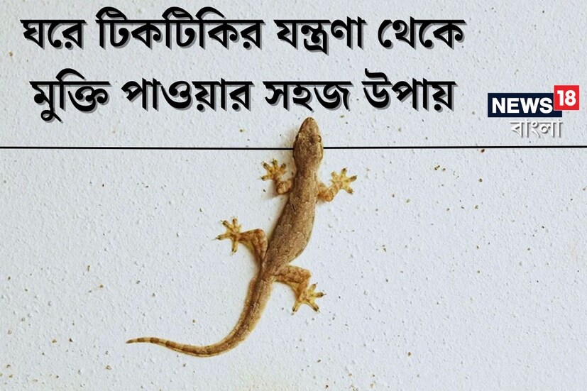 বর্ষার মরশুম আসতে না আসতেই শুরু হয়ে গিয়েছে পোকামাকড়ের উপদ্রব। সেই সঙ্গে বাড়তে থাকে টিকটিকির উৎপাতও। গ্রাম হোক বা শহর, সব জায়গাতেই মানুষ এই সমস্যার সম্মুখীন হয়। আলো জ্বালালেই বাড়ে সমস্যা। অনেক সময় এই সব পোকামাকড়ের কামড়ে গুরুতর সংক্রমণও হয়। তাই পোকামাকড় এবং টিকটিকি যাতে না থাকে, তার জন্য বাড়িঘর পরিষ্কার রাখতে হবে। বর্ষার মরশুম আসতে না আসতেই শুরু হয়ে গিয়েছে পোকামাকড়ের উপদ্রব। সেই সঙ্গে বাড়তে থাকে টিকটিকির উৎপাতও। গ্রাম হোক বা শহর, সব জায়গাতেই মানুষ এই সমস্যার সম্মুখীন হয়। আলো জ্বালালেই বাড়ে সমস্যা। অনেক সময় এই সব পোকামাকড়ের কামড়ে গুরুতর সংক্রমণও হয়। তাই পোকামাকড় এবং টিকটিকি যাতে না থাকে, তার জন্য বাড়িঘর পরিষ্কার রাখতে হবে।
