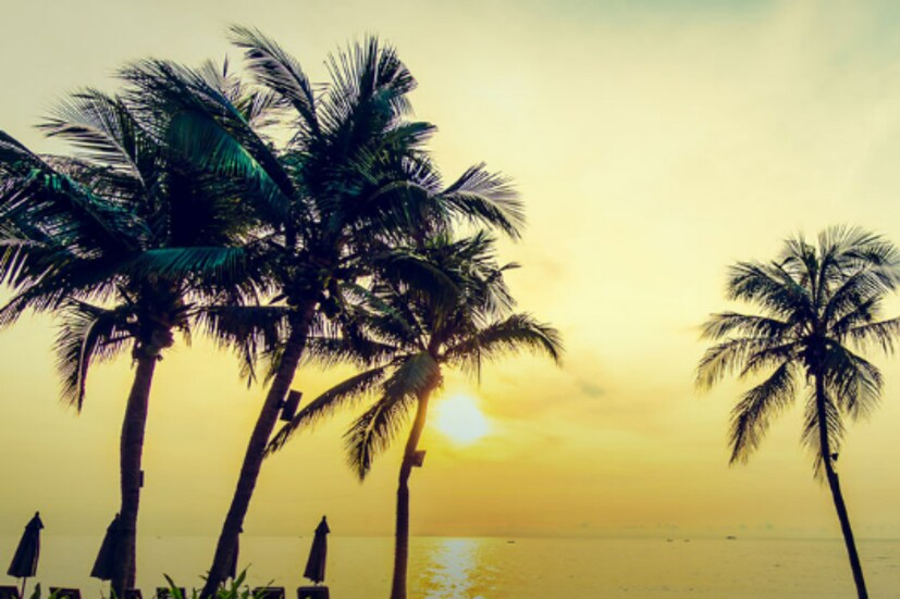 এটি ভারতের ২২টি নির্ধারিত সরকারি ভাষার মধ্যে একটি। ২০১৩ সালে মালায়লামকে "ভারতের শাস্ত্রীয় ভাষা" হিসেবে মনোনীত করা হয়েছিল।
