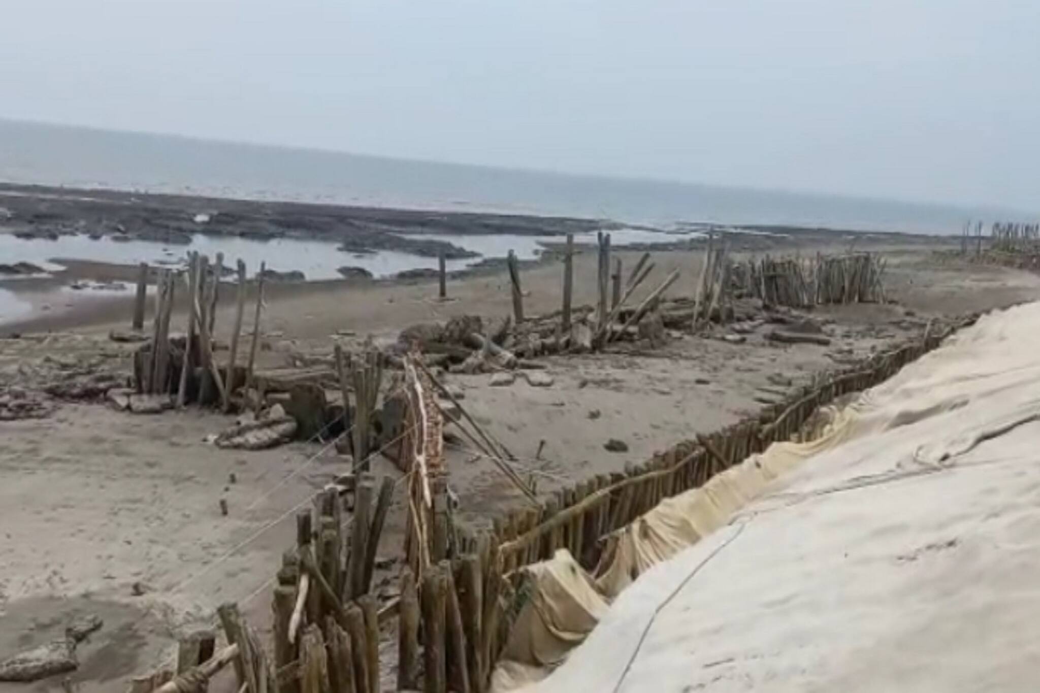 একটু একটু করে এলাকা গ্রাস করছে সমুদ্র! মৌসুনির বেহাল নদীবাঁধ সংস্কারের দাবি