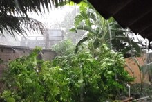 হঠাৎ বজ্রবিদ্যুৎ-সহ বৃষ্টি এই জেলায়, ভ্যাপসা গরম রেহাই! এক নজরে বুধবারের আবহাওয়া
