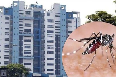 ডেঙ্গু পরিস্থিতি নিয়ন্ত্রণ করা নিয়ে নবান্নে বৈঠক। 