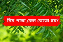নিমপাতা কেন তেতো হয়? আপনি কি জানেন, ৯৯ শতাংশ মানুষই কিন্তু ডাহা ফেল!
