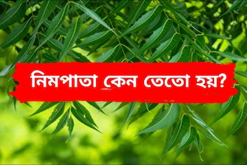 নিমপাতা কেন তেতো হয়? আপনি কি জানেন, ৯৯ শতাংশ মানুষই কিন্তু ডাহা ফেল! নিমপাতা কেন তেতো হয়? আপনি কি জানেন, ৯৯ শতাংশ মানুষই কিন্তু ডাহা ফেল!