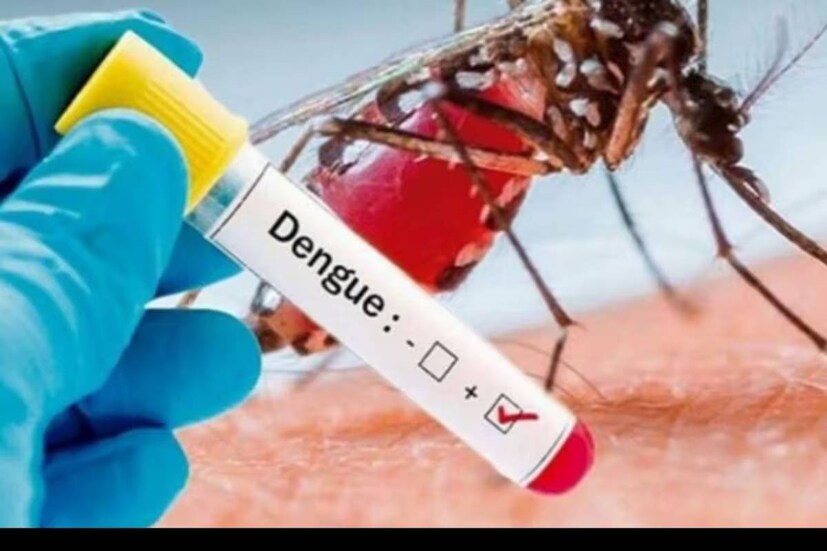 বর্ষাকাল এলেই বাড়ে ডেঙ্গি, ম্যালেরিয়ার মতো মশাবাহিত অসুখ৷ মাছিবাহিত রোগের প্রাদুর্ভাবও দেখা যায় এ সময়ে৷ এডিস ইজিপ্টাই প্রজাতির স্ত্রী মশা থেকেই ডেঙ্গির মতো মারাত্মক অসুখ ছড়িয়ে পড়ে৷