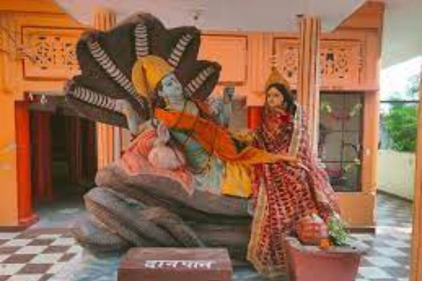 এ বছর বৃহস্পতিবার, ১৩ জুলাই পড়েছে এই বিশেষ তিথি৷ পঞ্জিকা অনুযায়ী একাদশী তিথি শুরু হচ্ছে ১২ জুলাই রাত ৮.১৬ মিনিটে৷ 