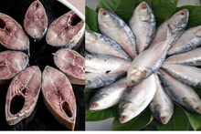 কলকাতার বাজারে কমছে ইলিশের দাম? জানুন সকালে বাজারে যাওয়ার আগেই