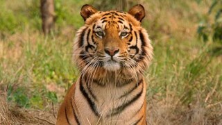 প্রতীকী ছবি