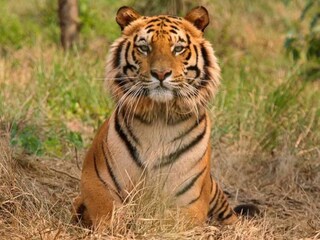 প্রতীকী ছবি
