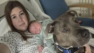 অত্যাশ্চর্য ঘটনার সাক্ষী থাকল মিল্টন কিনেস ইউনিভার্সিটি হসপিটাল