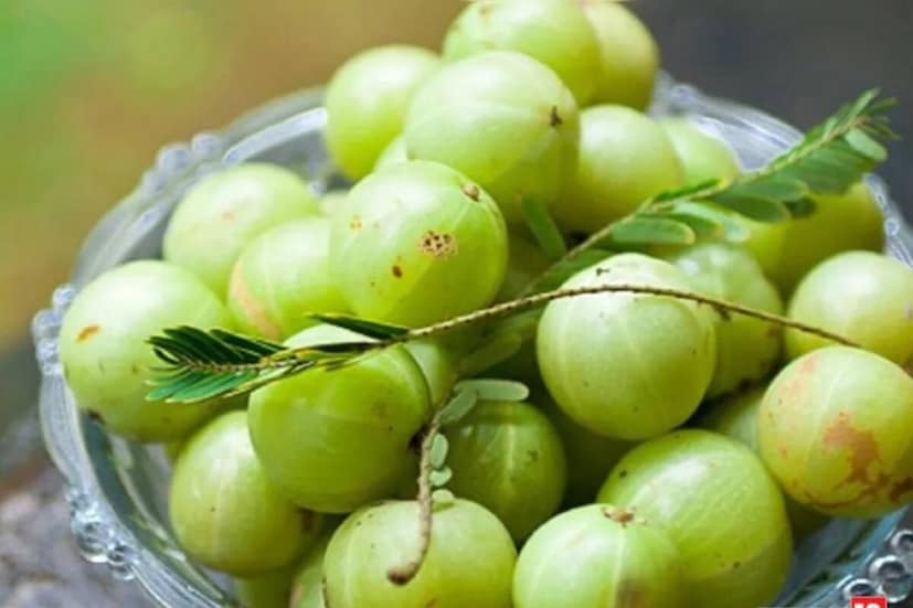 ভিটামিন সি ও অ্যান্টিঅক্সিড্যান্টে সমৃদ্ধ আমলা বা আমলকিকে বলা হয় সুপারফুড৷ একাধিক শারীরিক সমস্যাকে বশে রাখে এই ফল৷ শরীরে অক্সিডেটিভ স্ট্রেস এবং ইনফ্লেম্যাশন কমিয়ে দেয় এই ফল৷ এর পুষ্টিগুণ রক্তের ধমনী প্রসারিত করে৷ তার ফলে রক্ত প্রবাহের সময় অতিরিক্ত চাপ সৃষ্টি করে না৷