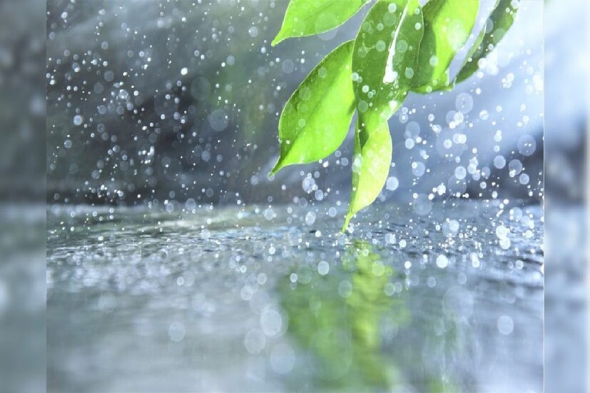দক্ষিণবঙ্গে বৃষ্টির ঘাটতি রয়েছে। কলকাতা-সহ বেশ কিছু জেলায় ৫০ শতাংশের বেশি ঘাটতি রয়েছে বলে আলিপুর আবহাওয়া দফতর সূত্রে খবর। ধান-চাষ সহ দক্ষিণবঙ্গের কৃষিকাজে বৃষ্টির ঘাটতিতে সমস্যা হতে পারে। সপ্তাহান্তে বিক্ষিপ্ত ভারী বৃষ্টি কতটা ঘাটতি মেটায় সেদিকেই নজর আবহবিদদের।