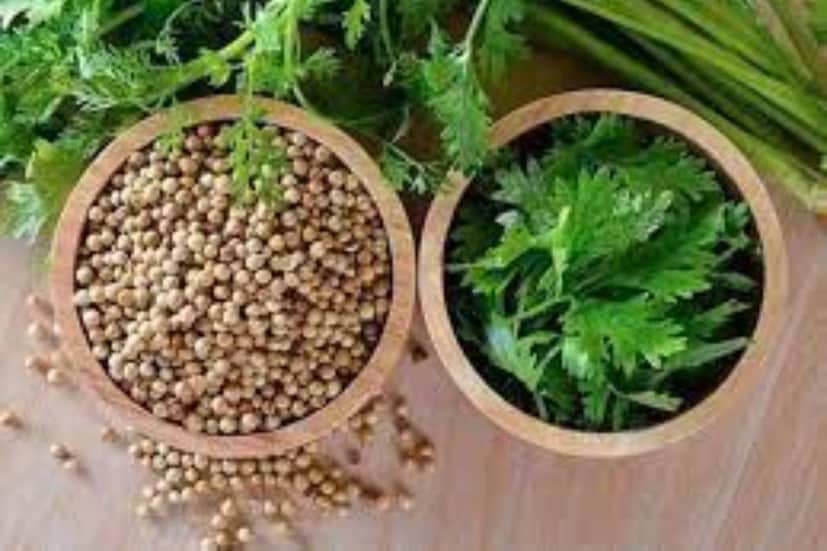 রান্নাঘরের চেনা মশলা ধনে রক্তচাপ এবং মধুমেহ দুটি রোগই নিয়ন্ত্রণ করে৷ কোলেস্টেরলকে বশে রেখে সুস্থ রাখে হৃদযন্ত্রকে৷ শরীর থেকে অতিরিক্ত জল এবং সোডিয়ামকে বার করে দিতে সাহায্য করে৷ ১ চামচ ধনে রাতভর ভিজিয়ে রাখুন৷ পরদিন সকালে সেটা ভাল করে ফুটিয়ে, ছেঁকে নিয়ে পান করুন৷ 