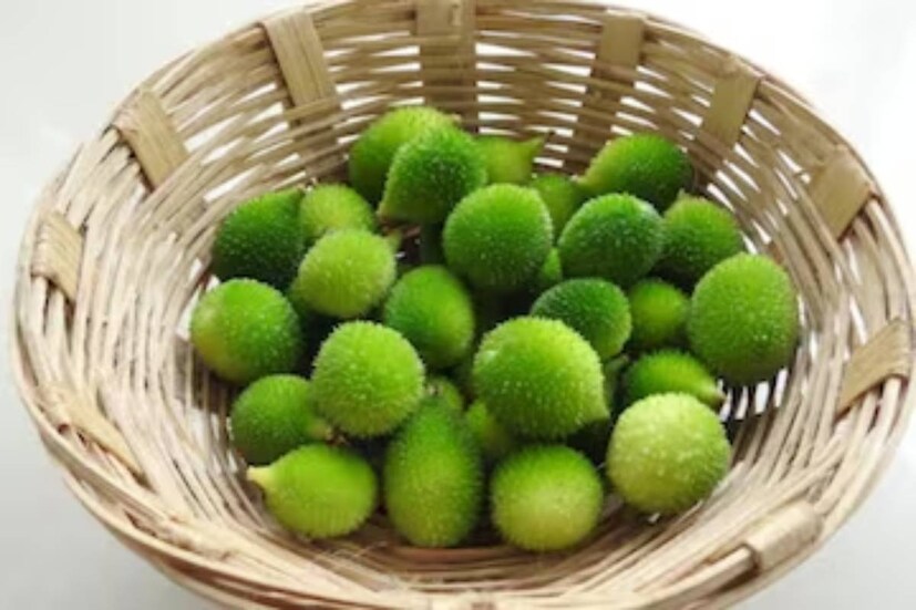 বর্ষায় প্রচুর পরিমাণে কাঁকরোল পাওয়া যায় বাজারে৷ লাউ প্রজাতির এই সবজি ফাইবার, মিনারেলস ও অন্যান্য পুষ্টিগুণে ভরা৷ রোগ প্রতিরোধ ক্ষমতা গড়ে তোলে এই সবজি৷ খাওয়া যায় ভাজা, তরকারি, পুরভরার নানা স্বাদে৷ 