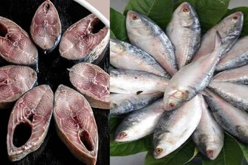 কলকাতার বাজারে কমছে ইলিশের দাম? জানুন সকালে বাজারে যাওয়ার আগেই