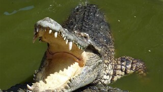 প্রতীকী ছবি