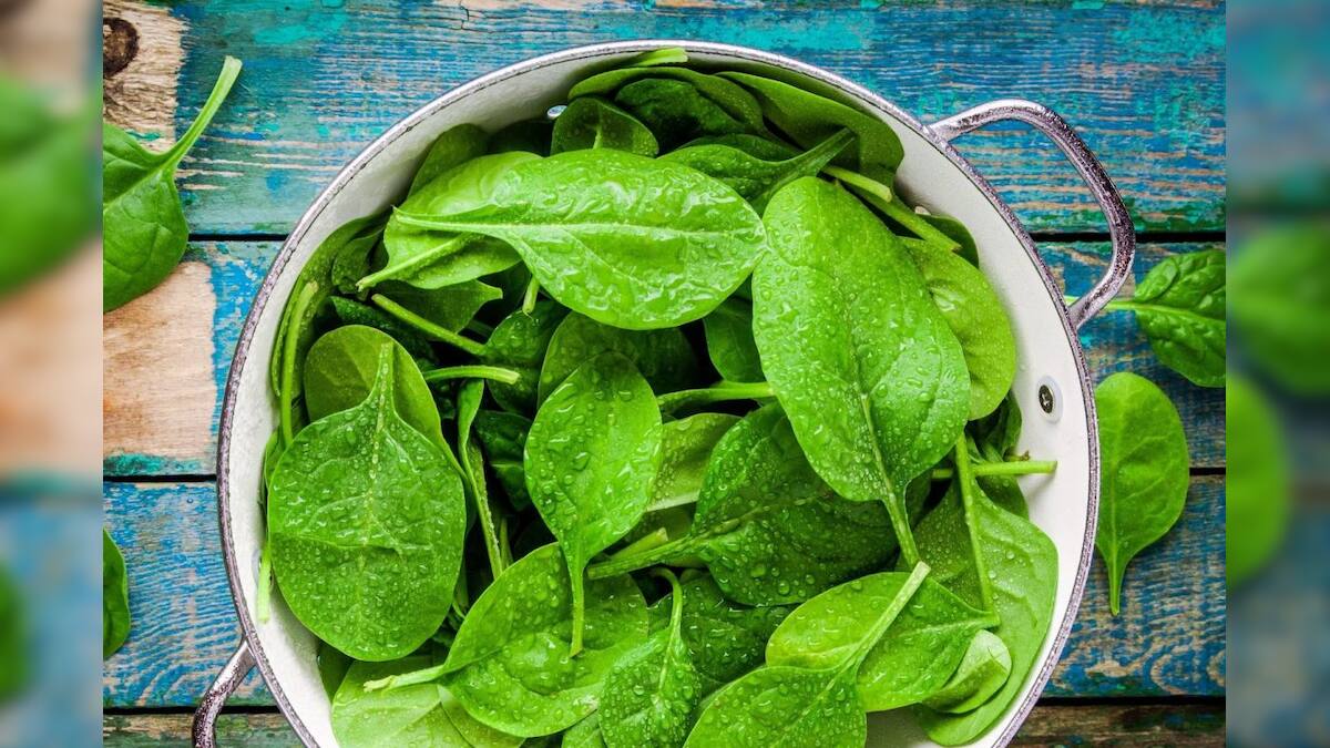 Leafy Vegetables in Monsoon এই সহজ নিয়ম মেনে বর্ষায় শাক খান, হবে না