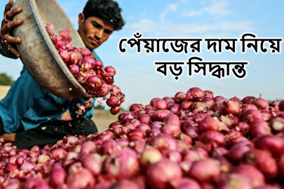 বিরাট পদক্ষেপ নিল সরকার