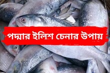 বাজারে গিয়ে আর ঠকতে হবে না, দেখে নিন পদ্মার ইলিশ ও গঙ্গার ইলিশ চেনার উপায়