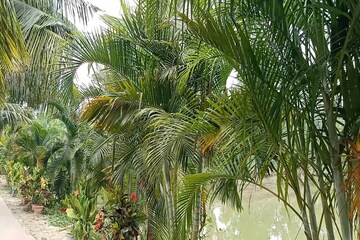 বসিরহাটে
