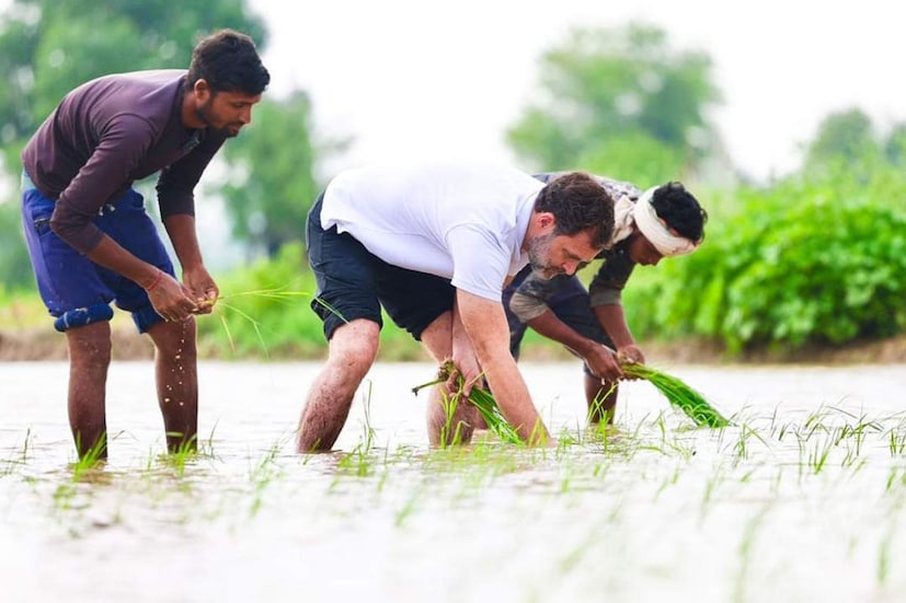 ২০২৪-এর নির্বাচনকে পাখির চোখ করে 'ভারত জোড়ো যাত্রা' সফরে রাহুল গান্ধি। দেশের নানা প্রান্তে চলছে সফর। তার মধ্যেই দিল্লি থেকে সিমলা যাওয়ার পথে হরিয়ানায় পা দিলেন রাহুল গান্ধি। {ছবি সৌজন্যে রাহুল গান্ধির স্যোশাল মিডিয়া}