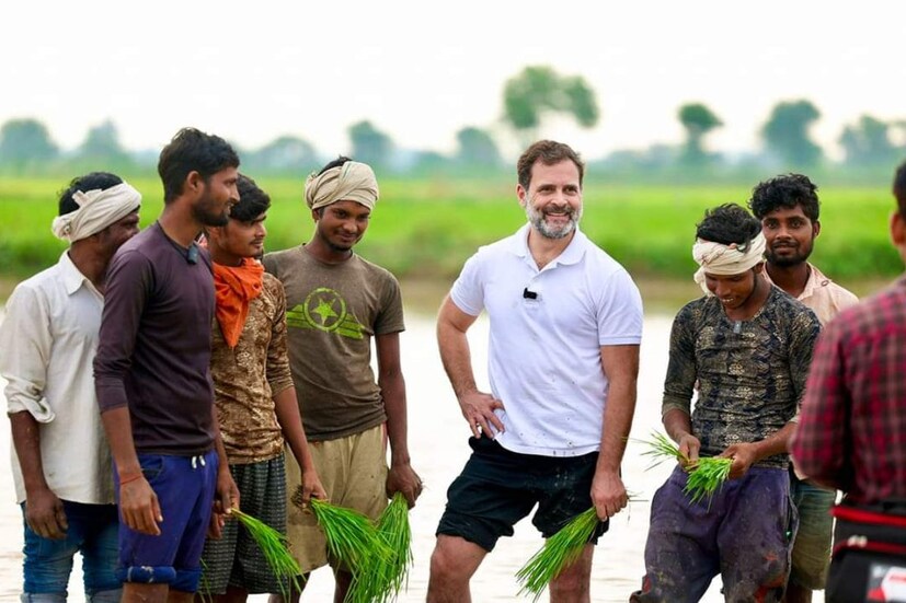 দিল্লি-সিমলা সফরের মাঝে হরিয়ানার সোনপতে থামলেন তিনি। মাটি-কাদা মেখে একদম অন্য রূপে ধরা দিলেন রাহুল। দেশের মাটিতে বুনলেন সোনার ফসল। পাশাপাশি গ্রামবাসিদের সঙ্গেও কথা বললেন।{ছবি সৌজন্যে রাহুল গান্ধির স্যোশাল মিডিয়া}