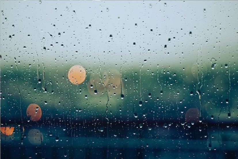 *৩০-৩৫ ডিগ্রির আশেপাশে থাকবে তাপমাত্রা। আর্দ্রতাজনিত অস্বস্তি বাড়লেও গরমের দাবদাহ থাকছে না ভোটে। দক্ষিণবঙ্গের জেলাগুলিতে বর্ষার যথেষ্ট ঘাটতি রয়েছে। তবে উত্তরবঙ্গের জেলাগুলিতে যথেষ্ট পরিমাণ বৃষ্টি হয়েছে, যা স্বাভাবিক। ফাইল ছবি।