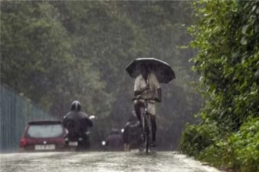 *নিচের তিন জেলা মালদহ এবং উত্তর ও দক্ষিণ দিনাজপুরে তুলনামূলক কম বৃষ্টি হবে। তবে আগামী শনিবার ৮ জুলাই রাজ্যে পঞ্চায়েত নির্বাচনের দিন হালকা থেকে মাঝারি বৃষ্টি হবেউত্তরের জেলাগুলিতে। ফের ১১ থেকে জুলাই বৃষ্টির পরিমাণ বাড়তে পারে। ফাইল ছবি। 