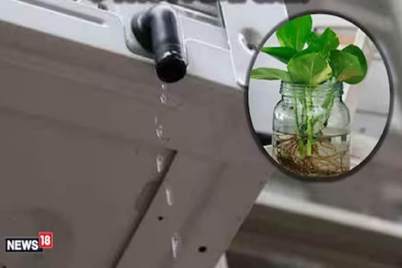 নদীমাতৃক এই দেশ এখন তার জল হারাতে বসেছে। নানা রিপোর্টে শোনা যাচ্ছে দারুন আতঙ্কের কথা- আগামী দিনে দেশের অনেক শহর না কি একেবারেই জলশূন্য হয়ে যেতে পারে। এই লক্ষ্যে চলছে সরকার এবং ব্যক্তিগত উদ্যোগে জায়গায় জায়গায় জল সংরক্ষণের পালা।