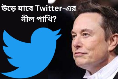 ‘উড়ে যাবে Twitter-এর নীল পাখি?’ আসছে নতুন লোগো, ঘোষণা করলেন এলন মাস্ক
