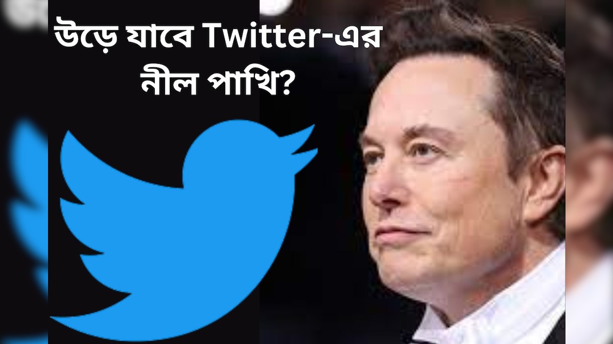 ‘উড়ে যাবে Twitter-এর নীল পাখি?’ আসছে নতুন লোগো, ঘোষণা করলেন এলন মাস্ক