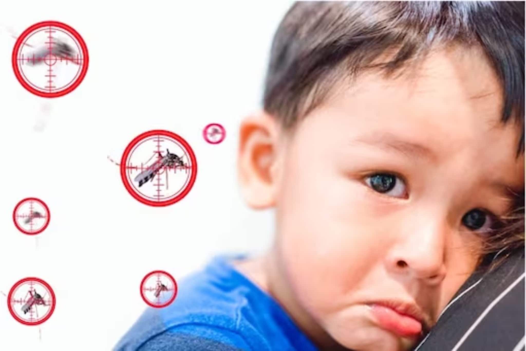 Fever: সাধারণ জ্বর না ম্যালেরিয়া, ডেঙ্গু নাকি টাইফয়েড? লক্ষণ দেখে কী ভাবে চিনবেন? পরামর্শ দিলেন চিকিৎসক