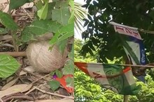 রণক্ষেত্র ভাঙড়! প্রাণ হারালেন ৩ ISF কর্মী, অভিযোগের তির আরাবুল-শওকতের দিকে