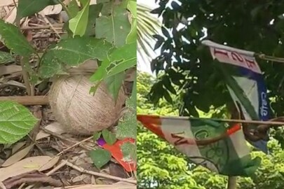  অগ্নিগর্ভ ভাঙড়!