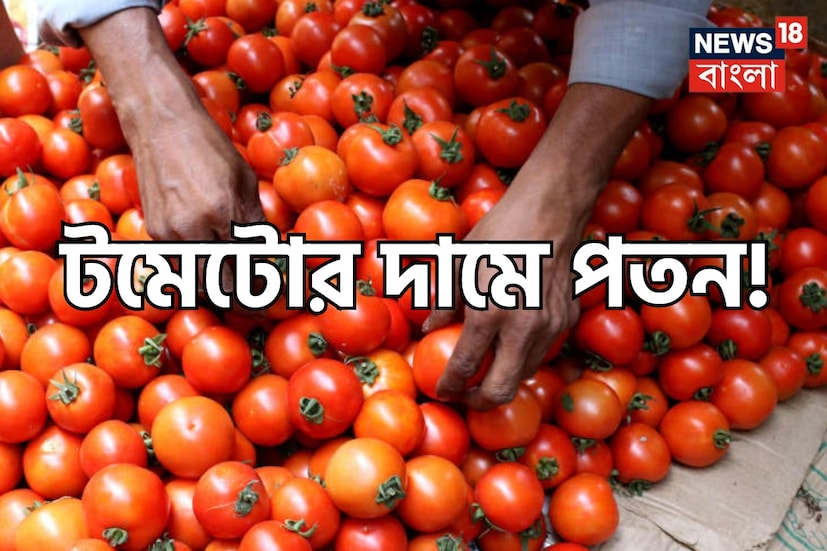 টমেটোর দামে পতন! NAFED, NCCF ৮০ টাকা প্রতি কেজি দরে বিক্রি করছে এই মহার্ঘ্য সবজি। গত কয়েক মাস ধরে আগুন দামের পরে দারুণ স্বস্তিতে মধ্যবিত্ত সাধারণ মানুষ।
