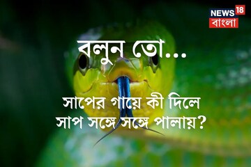 বলুন তো সাপের গায়ে কী দিলে সাপ সঙ্গে সঙ্গে লেজ গুটিয়ে পালায়? শুনলে চমকে যাবেন!