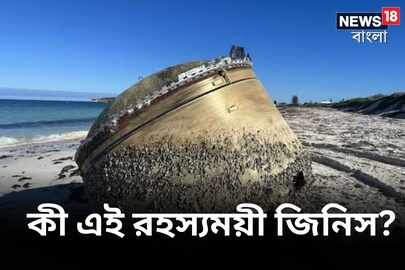 সমূদ্র সৈকতের ধারে কী এই রহস্যময়ী বস্তু? খোঁজ মিলতেই আঁতকে উঠেছেন বিজ্ঞানীরা