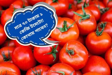 সুখবর সুখবর...! ৯০ নয়, ৮০ নয়, অনলাইনে ৭০ টাকায় কিনুন ১ কেজি টমেটো! কী ভাবে?