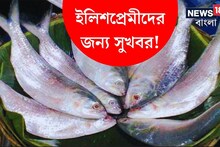 ইলিশপ্রেমীদের জন্য সুখবর! ট্রলার ভর্তি ভর্তি ইলিশ ঢুকছে, দাম কি কমবে?