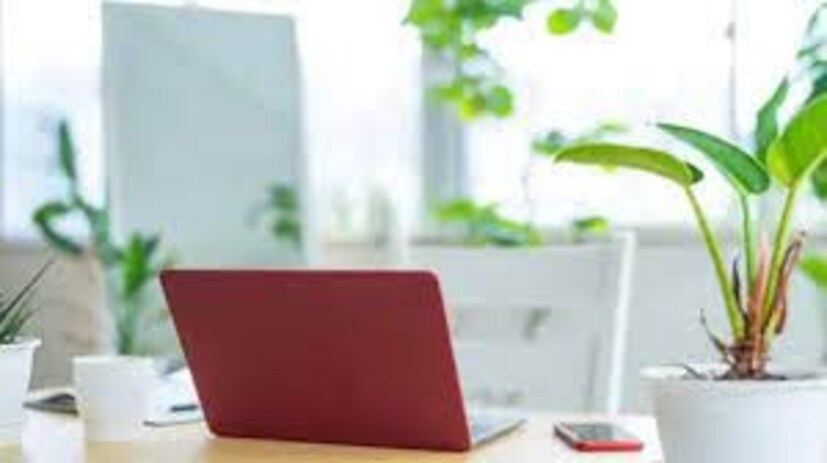 পড়ার টেবিলের কাছেই দেওয়ালে রাখুন অনুপ্রেরণামূলক উদ্ধৃতি৷ টেবিলের উল্টোদিকে ফাঁকা দেওয়াল না রাখাই ভাল৷ টেবিলের রং রাখুন প্যাস্টেল নীল এবং সবুজ৷ হাল্কা সাদা বা ক্রিম রঙাও করতে পারেন ৷