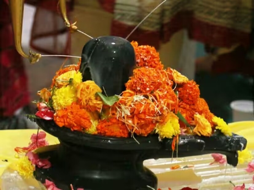 Disclaimer: এই প্রতিবেদনটি কেবলমাত্র সাধারণ তথ্যের জন্য, তাই বিস্তারিত জানতে হলে সর্বদা বিশেষজ্ঞের পরামর্শ নিন। (সব ছবি-নেটমাধ্যম)